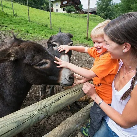 Haus Annemarie - Hochpustertal Kartitsch
