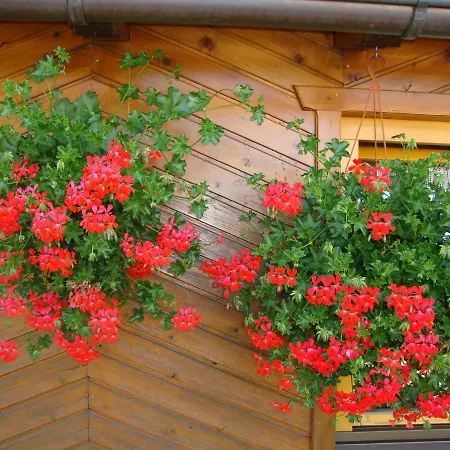 Haus Annemarie - Hochpustertal * Kartitsch