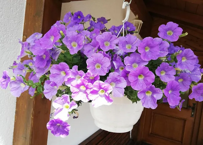 Haus Annemarie - Hochpustertal דירה