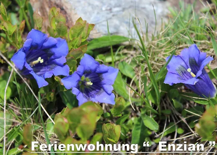 דירה Haus Annemarie - Hochpustertal