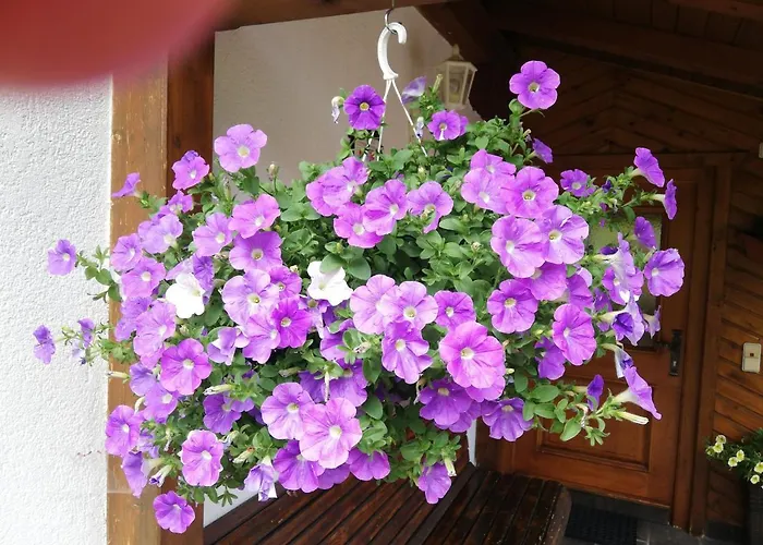 דירה Haus Annemarie - Hochpustertal