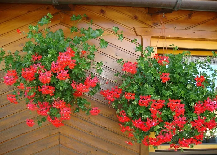 Haus Annemarie - Hochpustertal * קארטיץ'