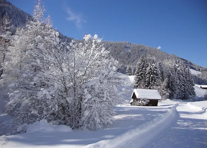 Haus Annemarie - Hochpustertal דירה